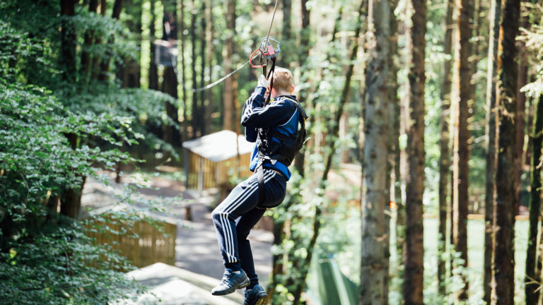 Tree Top Zip Line