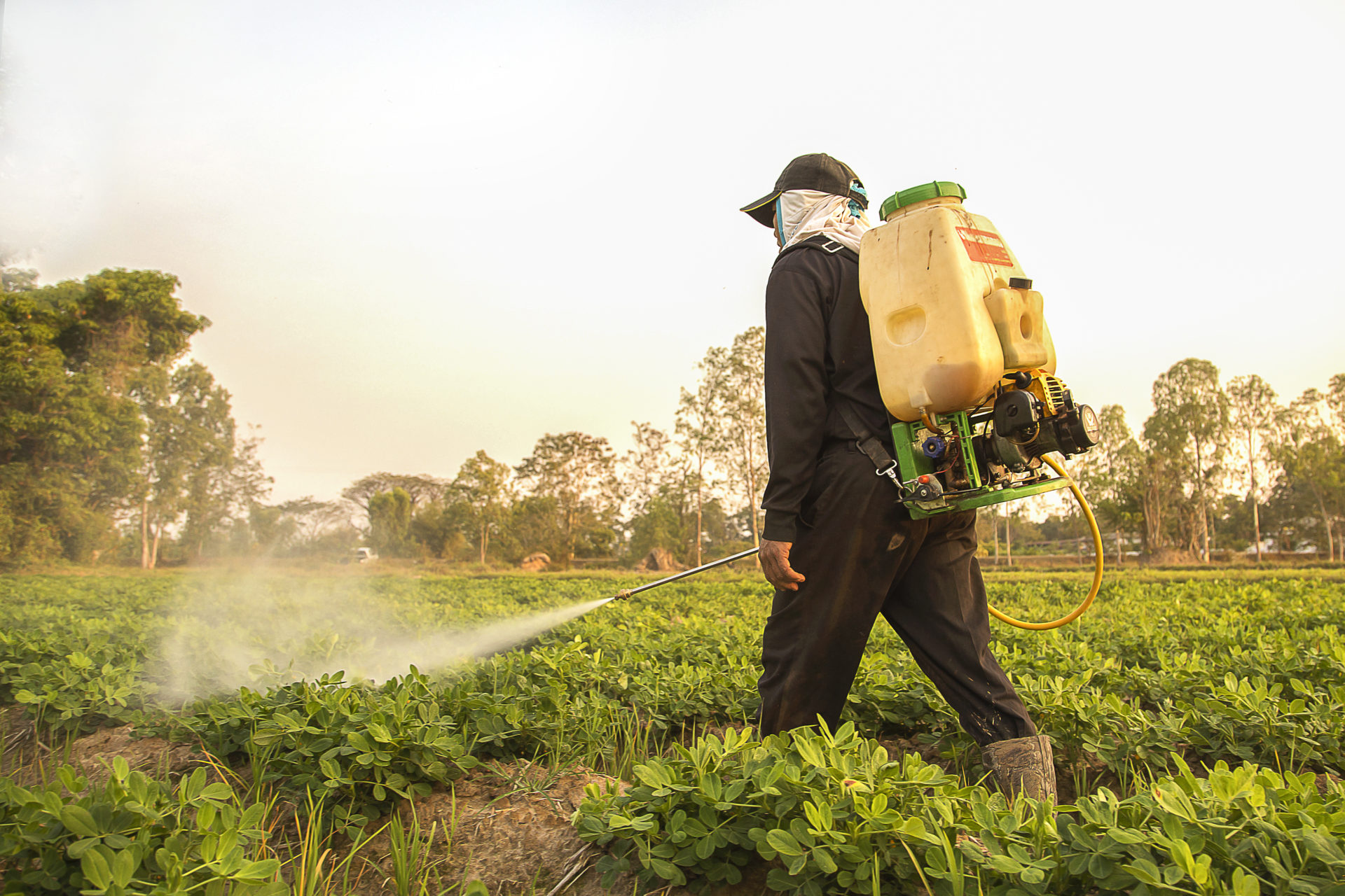 Pesticide Training The Jungle NI