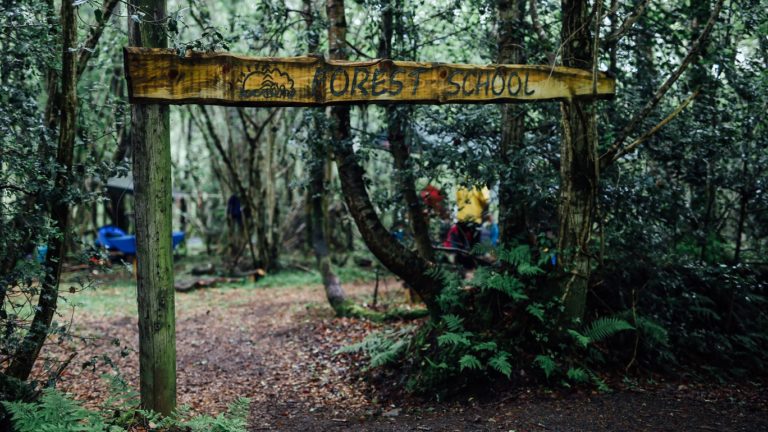Forest School   entrance