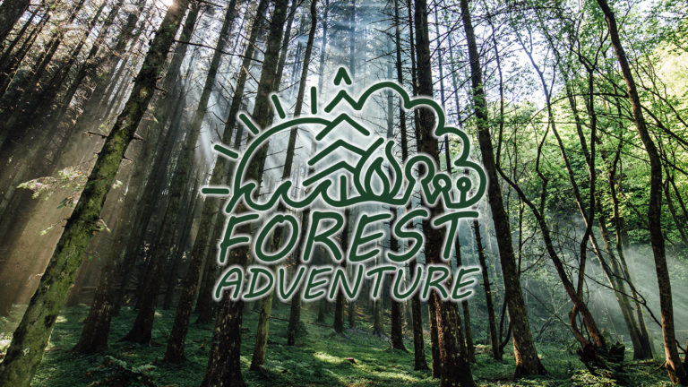 Forest School Adventure Banner new Website