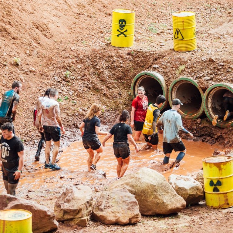 Mini Rampage - The Jungle NI