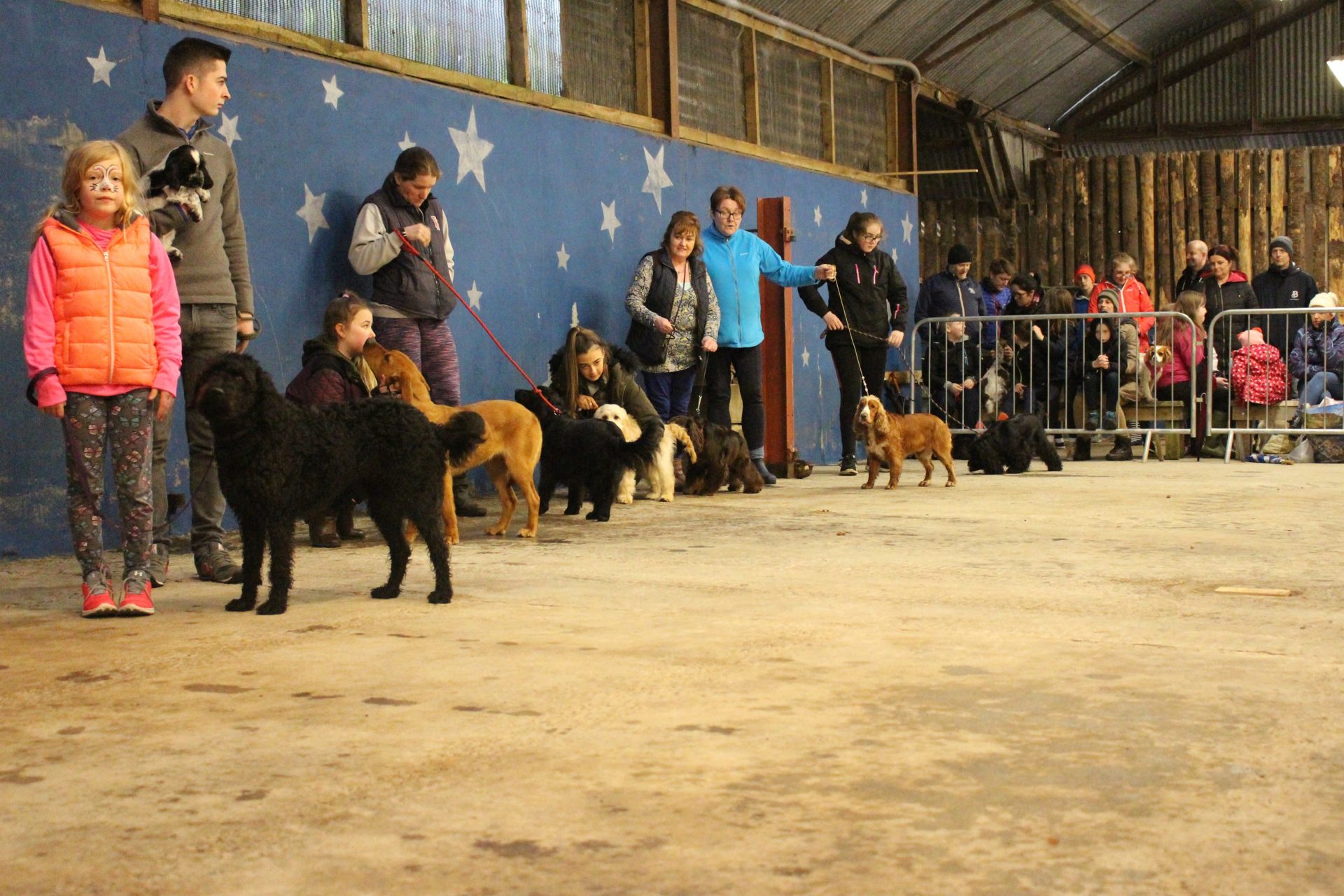 Best Gun Dog Line up