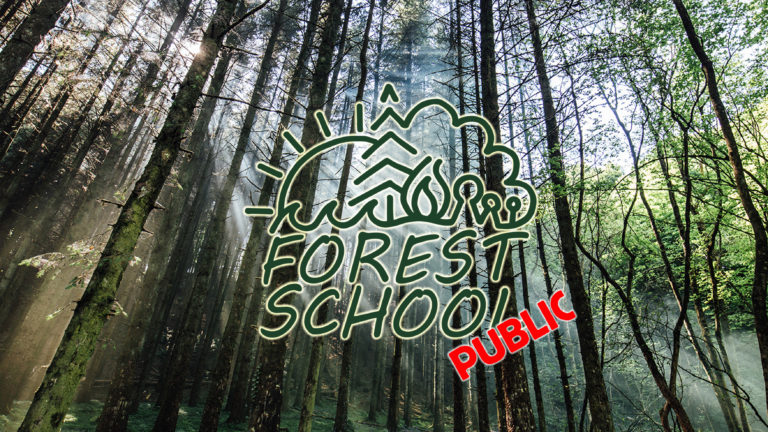 Public Forest School Website Banner