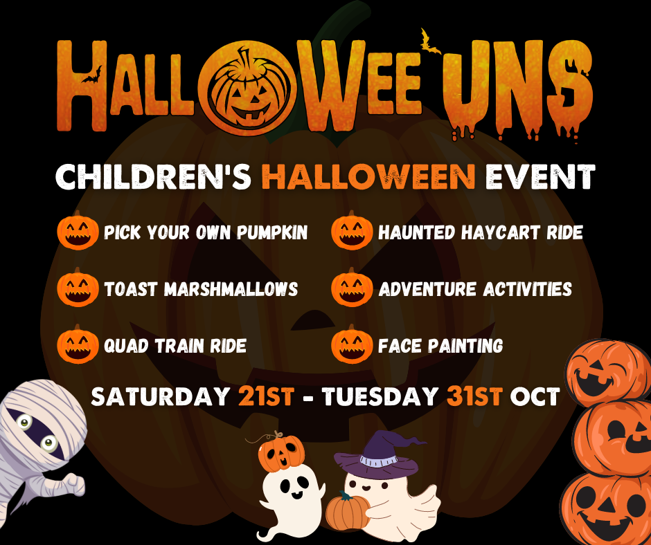 Halloweeuns Landscape (3)