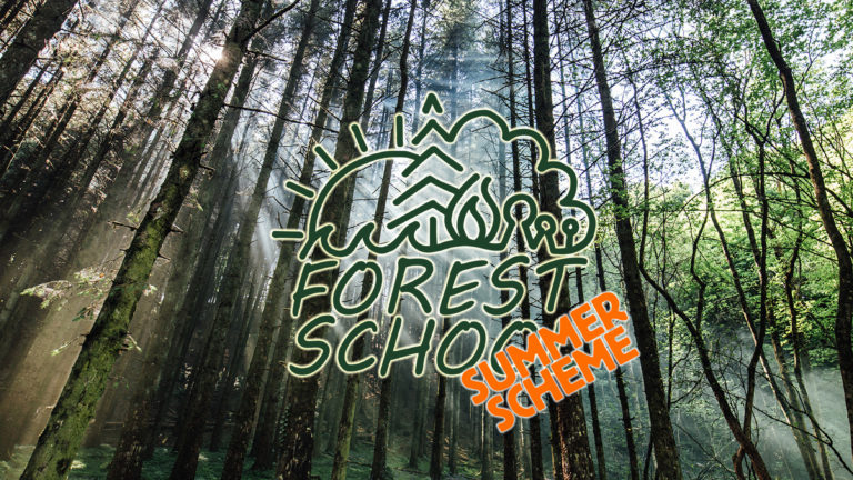 Summer Scheme Forest School Website Banner