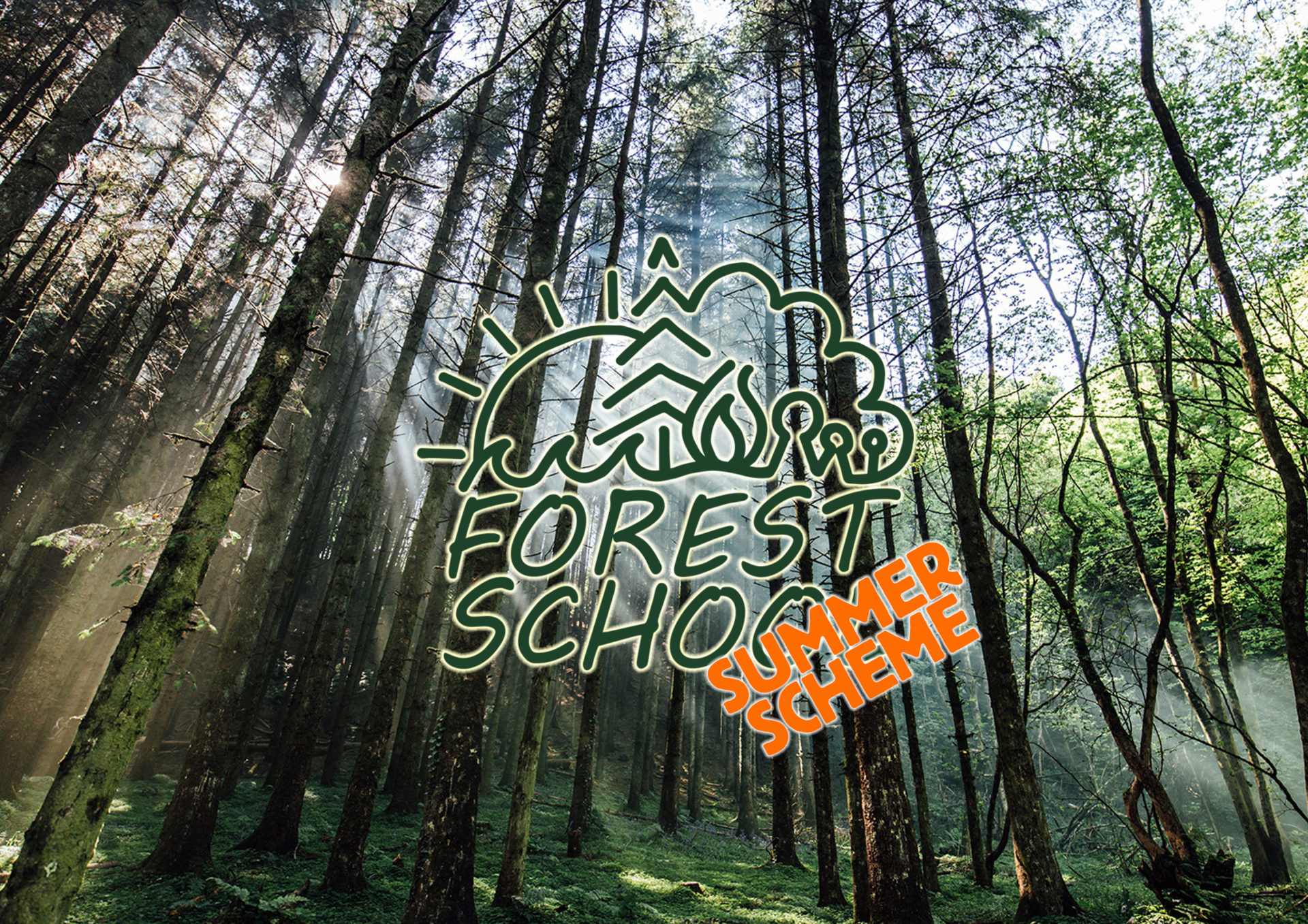 Summer Scheme Forest School Website Banner The Jungle Ni