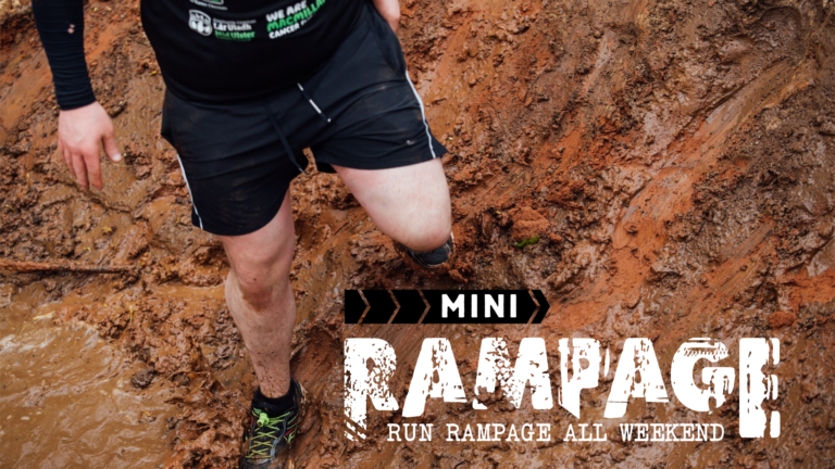 Mini Rampage - The Jungle NI