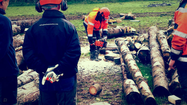 Chainsaw Lantra