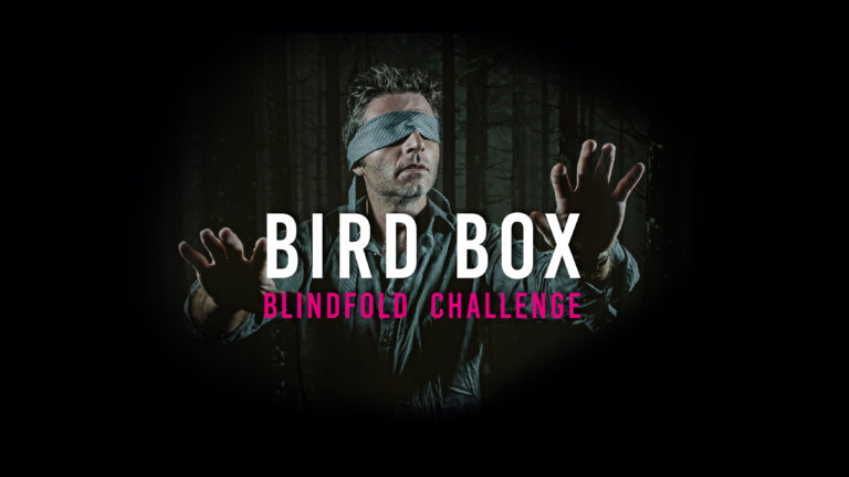 Bird Box Website Banner v2