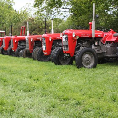 Mid Ulster Vintage rally red tractors lined up