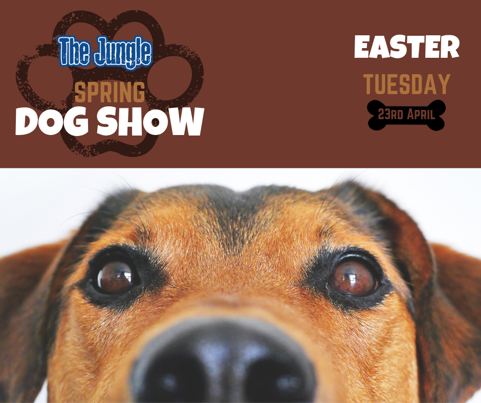 SPRING DOG SHOW