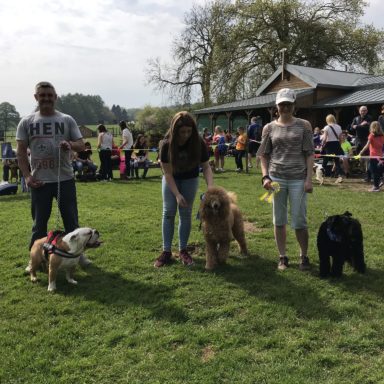 Best Dog   1st, 2nd & 3rd