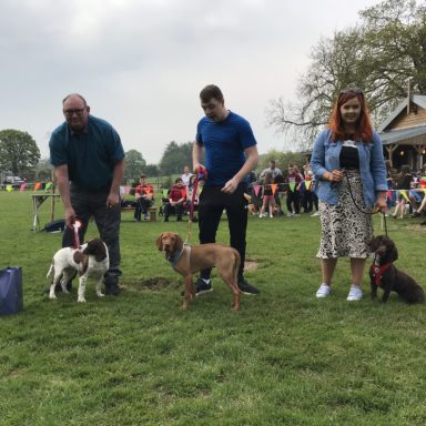 Gun Dog   1st, 2nd & 3rd