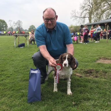 Gun Dog   winner   Bella