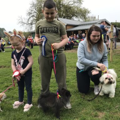 Toy Dog   1st, 2nd & 3rd