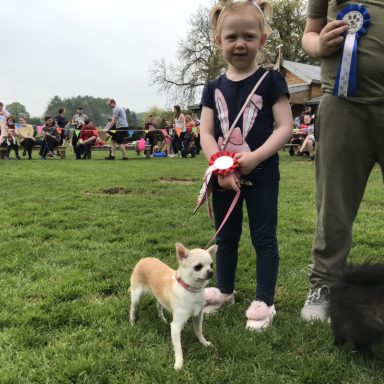 Toy Dog   winner   Bella and handler