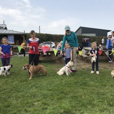 Young Handler U12   1st, 2nd & 3rd