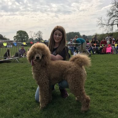 Young Handler U16   winner   Dollar