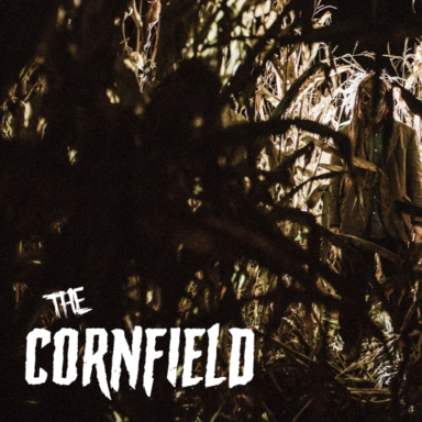 The Cornfield