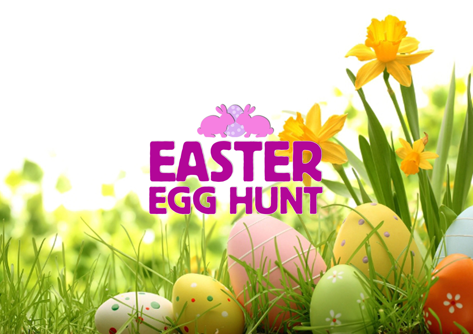 Easter Egg Hunt Event website plain