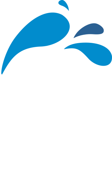 SPLASH S icon   no background