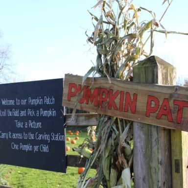 HW   pumkin patch sign