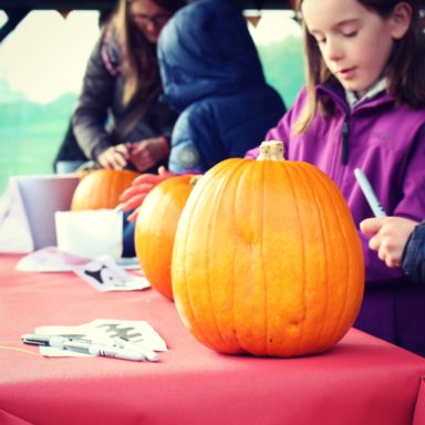 HW   pumpkin drawing