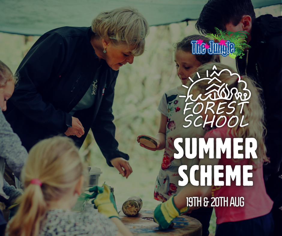 Forest School Summer Scheme   2026 Website image