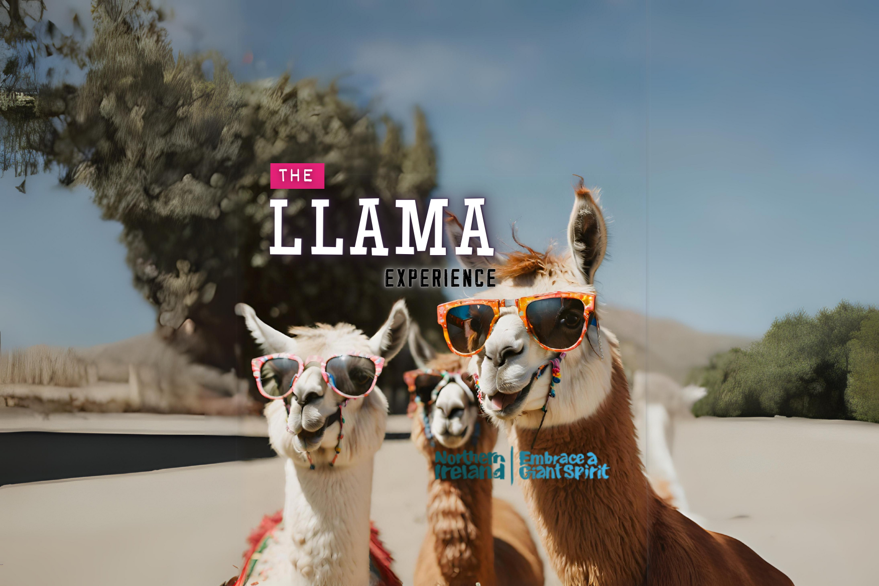 Wordpress Blog Header Image   The Llama Experience