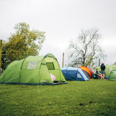 jungle   generic camping (full res) 1