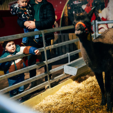 jungle ni wonderland   full res 115