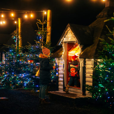 jungle ni wonderland   full res 28