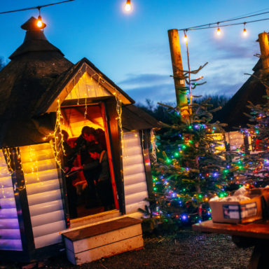 jungle ni wonderland   full res 43