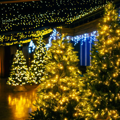 jungle ni wonderland   full res 71